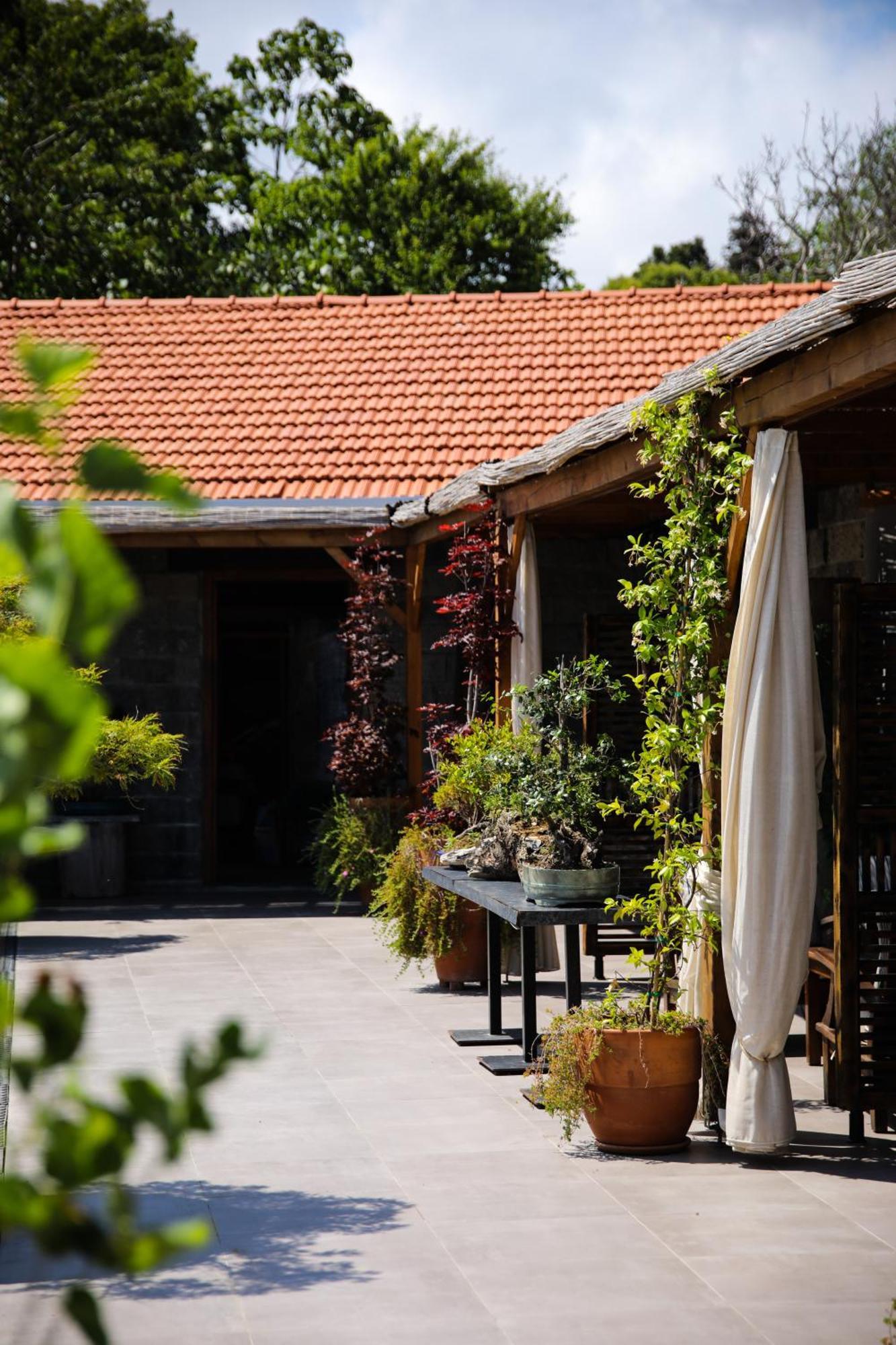 Mavi At Hotel Blue Horse Gumusdere Exterior foto